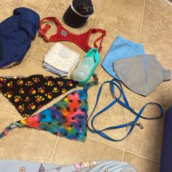Dog Clothes 