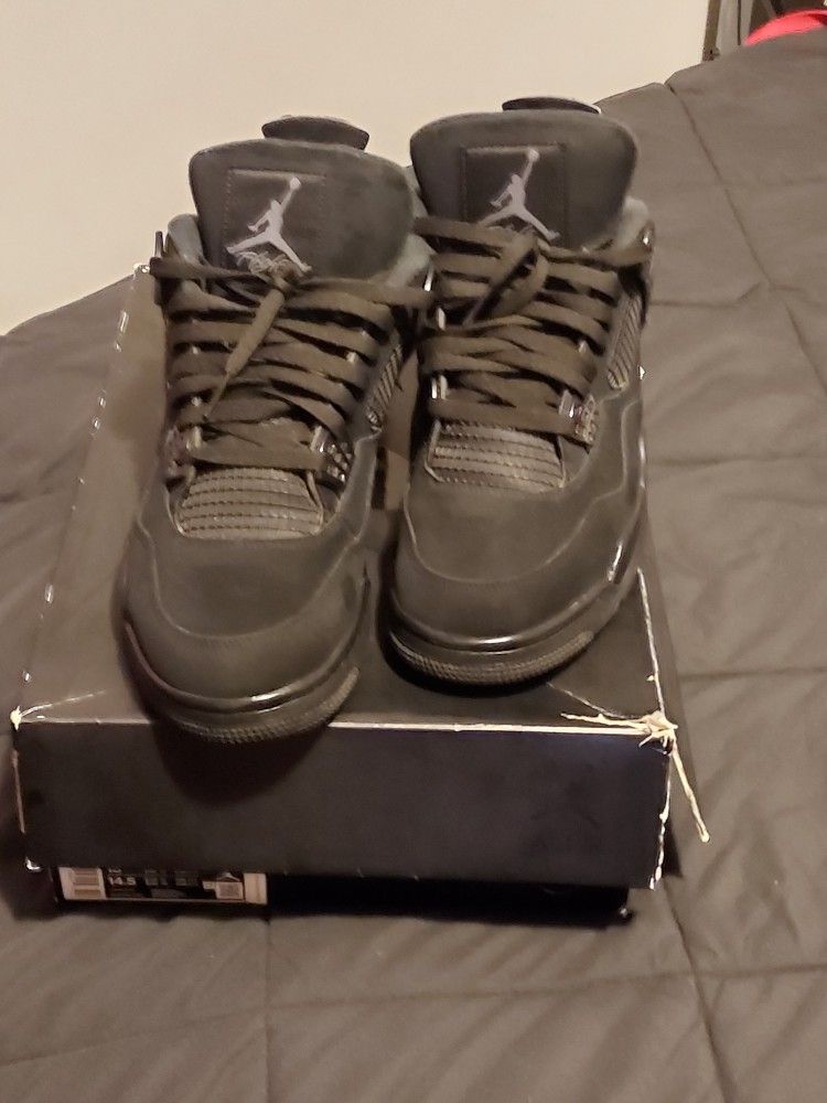 Black Cats Size 13