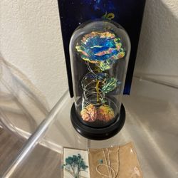 Light Up Rose in A Glass Dome $20