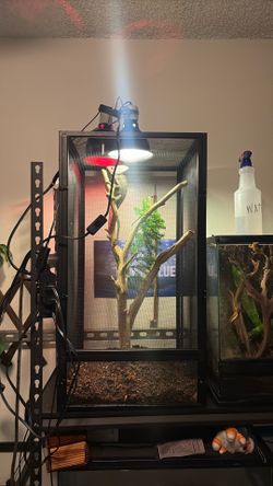 Screen reptile Chameleon Cage Tank