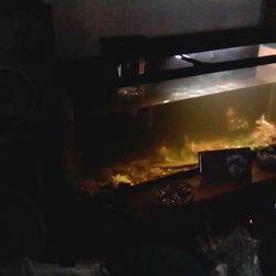 55 Gallon Fish Tank Plus Two Goldfish And Filter The Whole Thing For 70 Bucks Or Best Offer