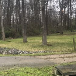 we cut grass For more information Call (contact info removed)