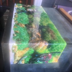 75 Gallon Fish Tank