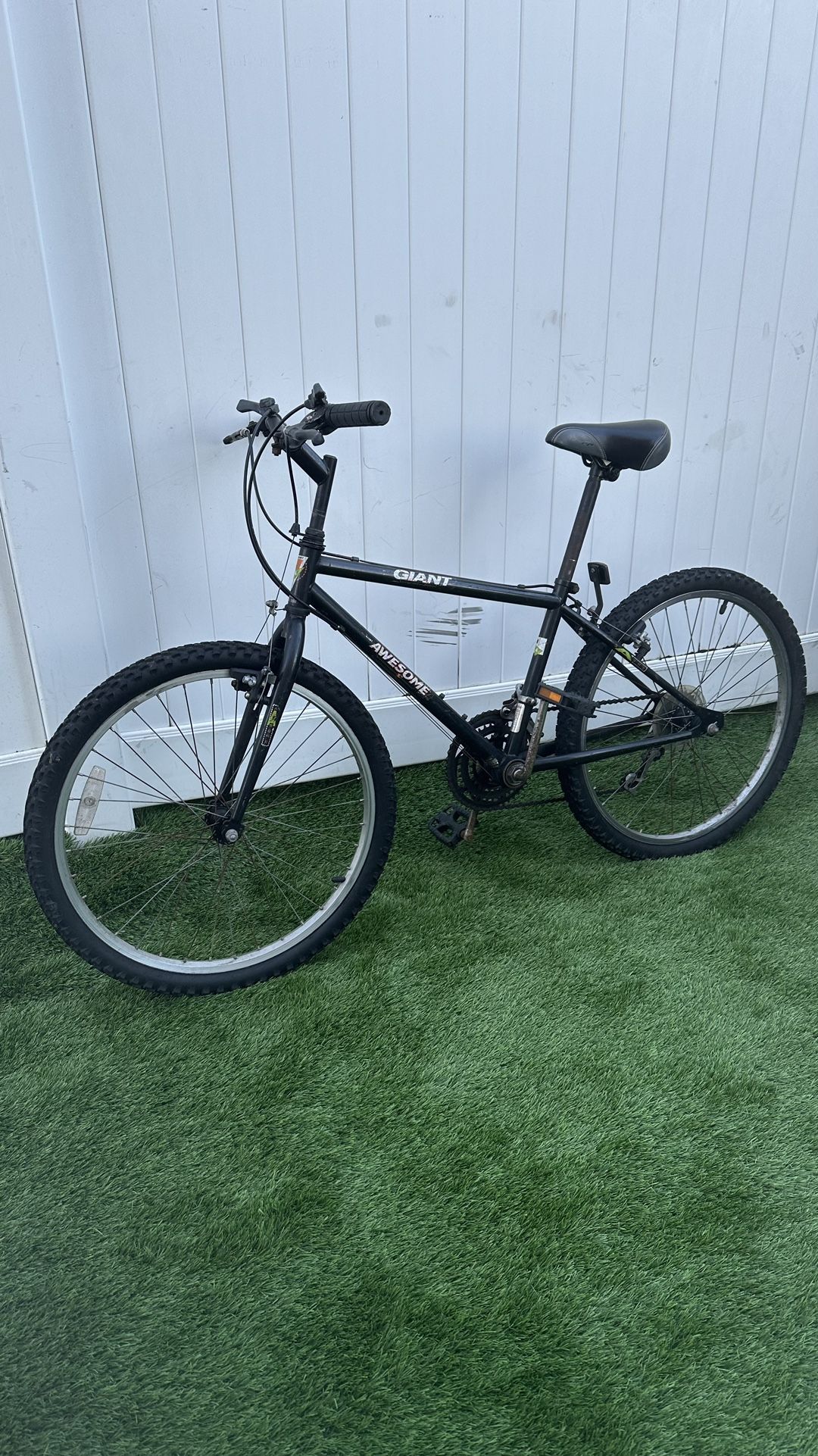 Giant Mountain Bike Size 24”