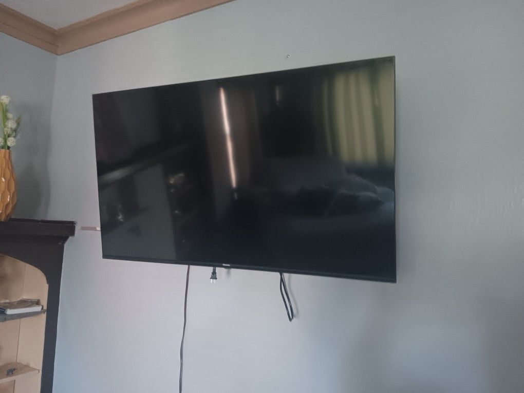43 Inch TV Need Repairs