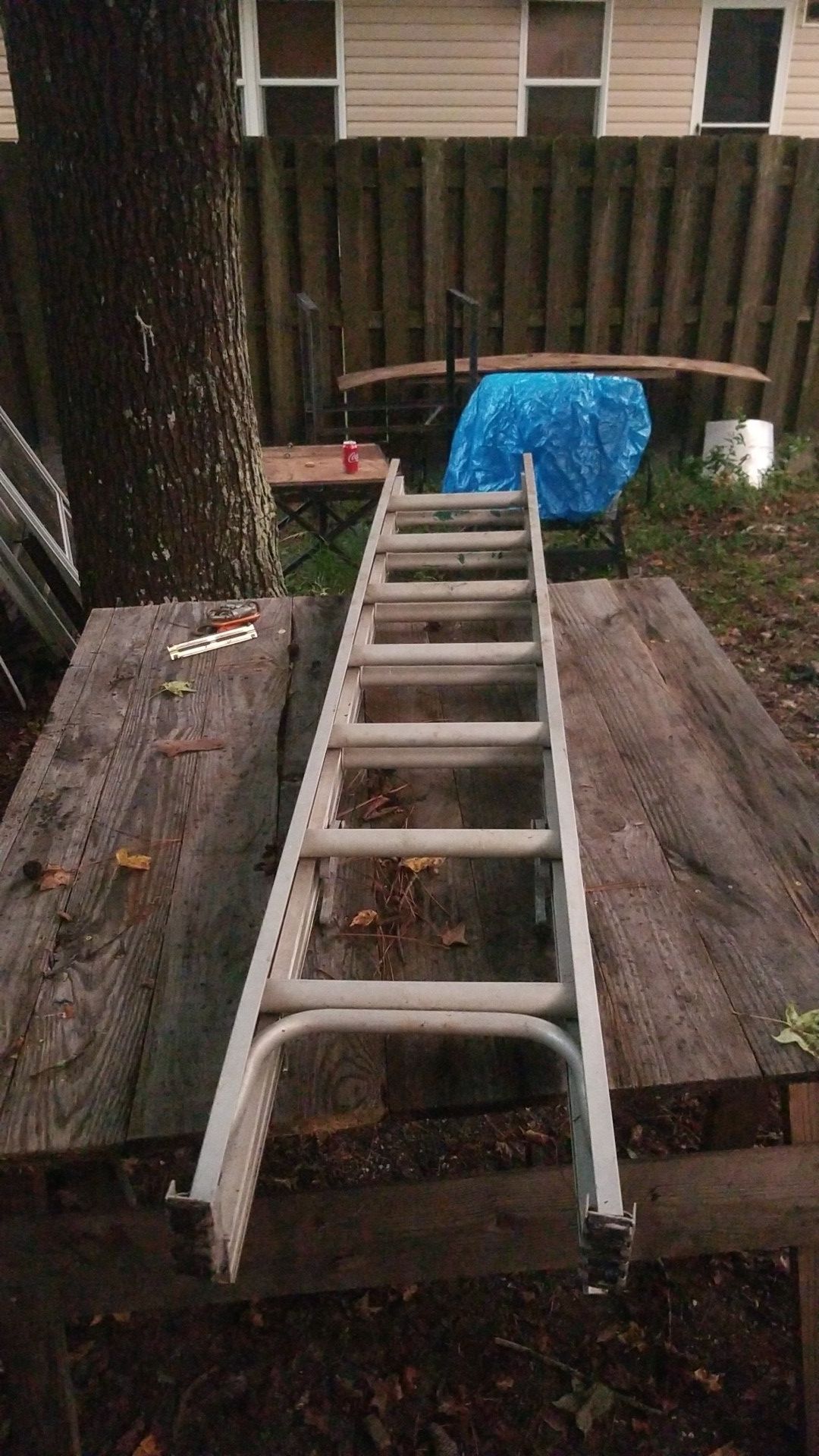 Ladder 20ft