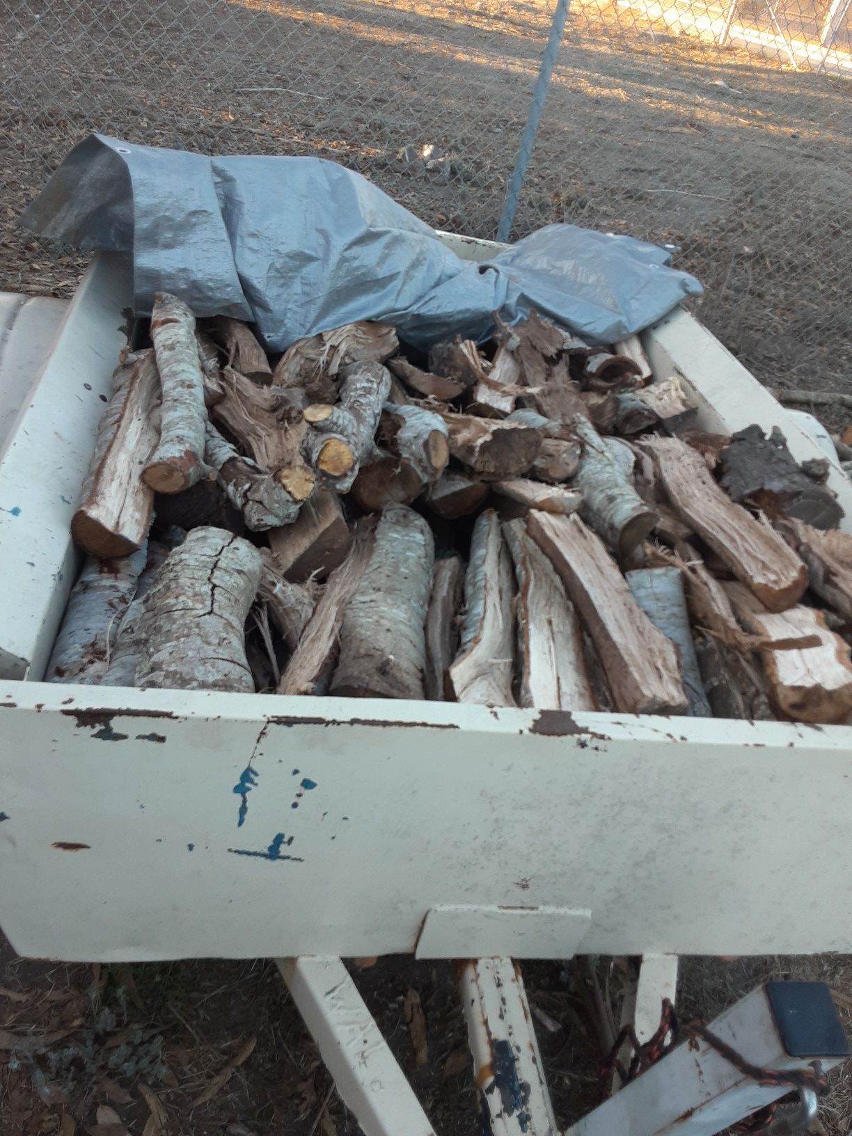 Oak firewood