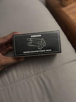 Purge Valve