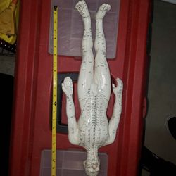 Acupuncture Medical Model