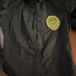 Special agent Costume