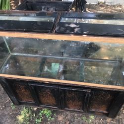 Fish Tank