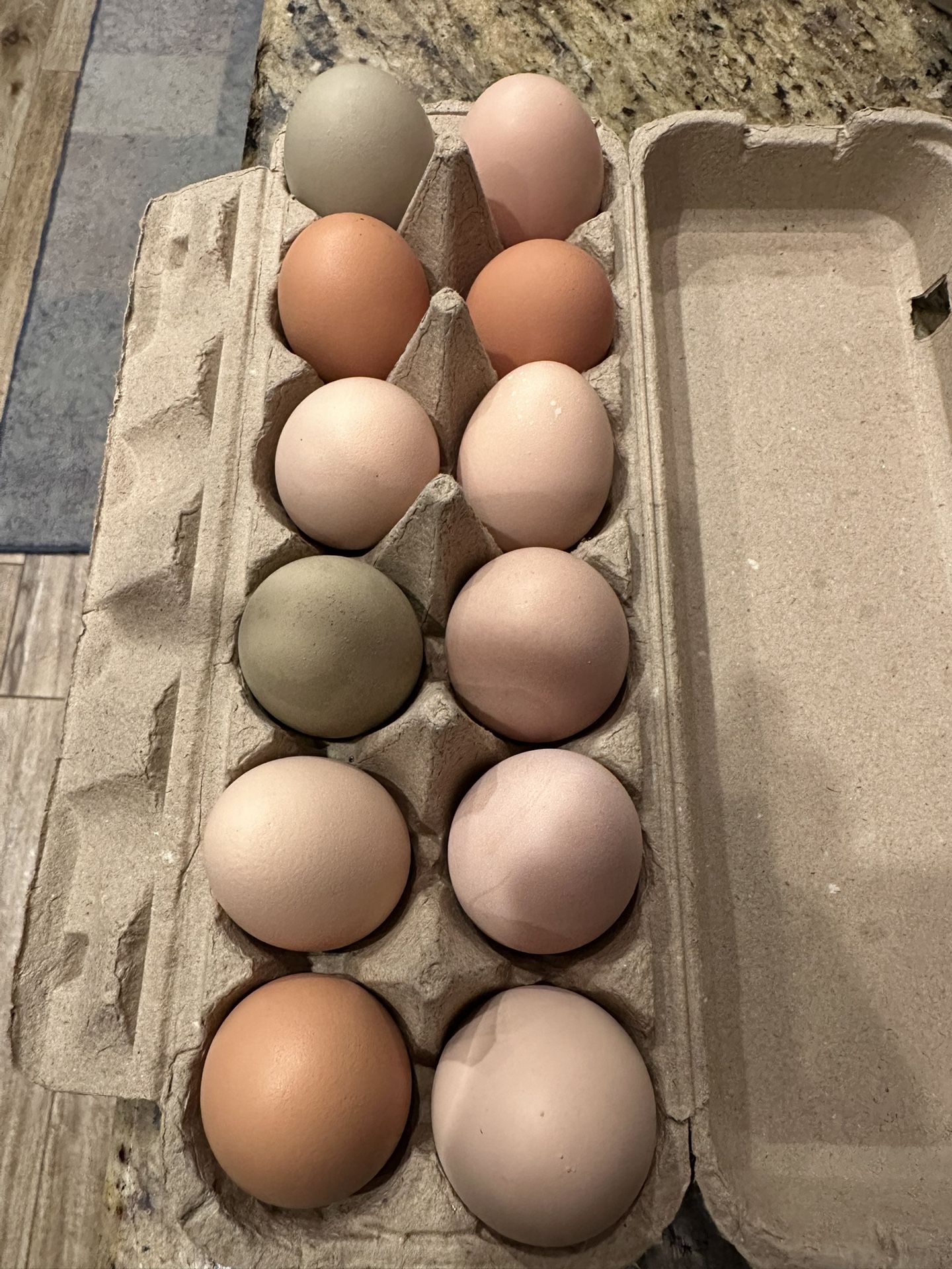 farm eggs