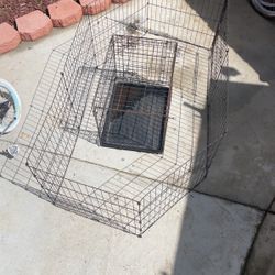 Dog & Pet Kennel 