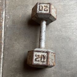 20 Lbs Dumbbell