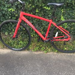 Man Fuji Bike