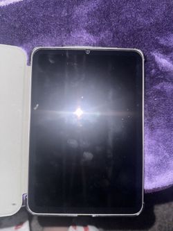 iPad Mini 6th Generation (pink)