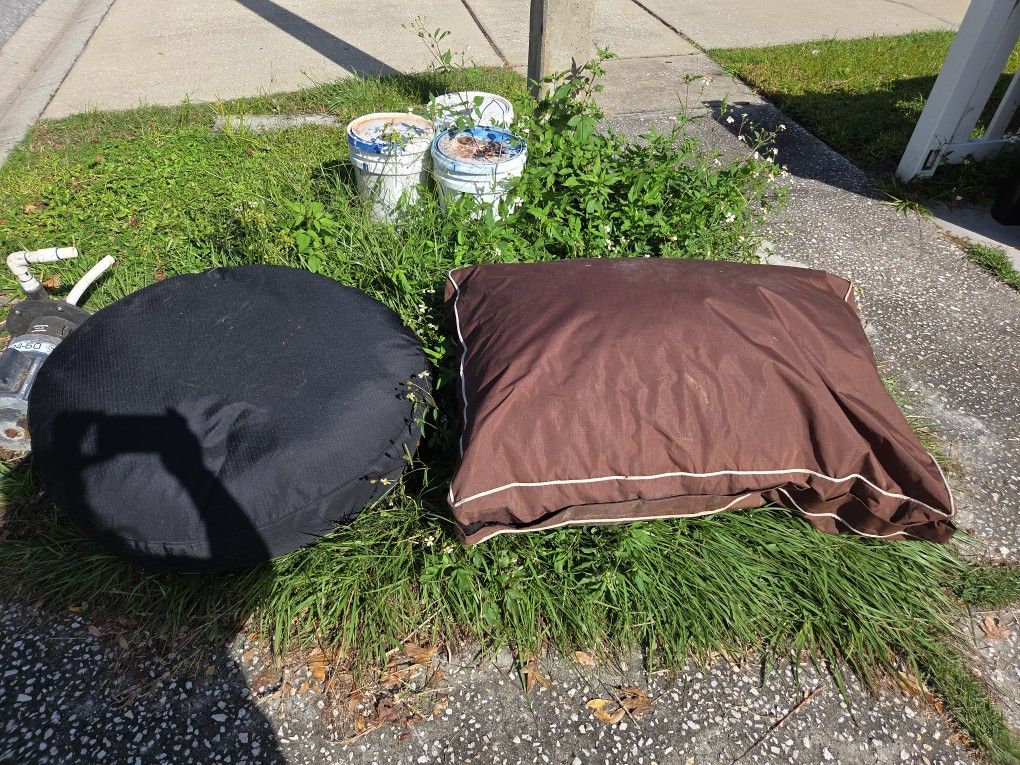 2 Dog Beds Been In Garage For Two Years