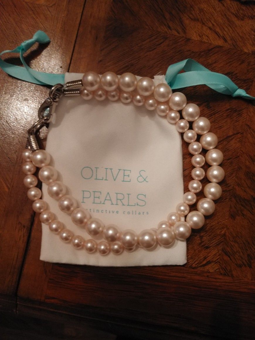 Functional Faux Pearl Dog Collar