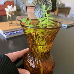 Succulent In Vintage Vase