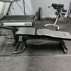 Bench Press