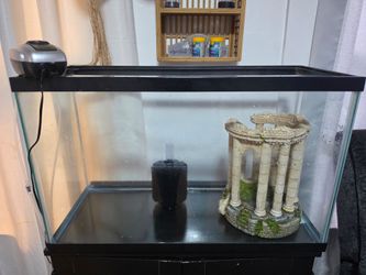 29 gal tank