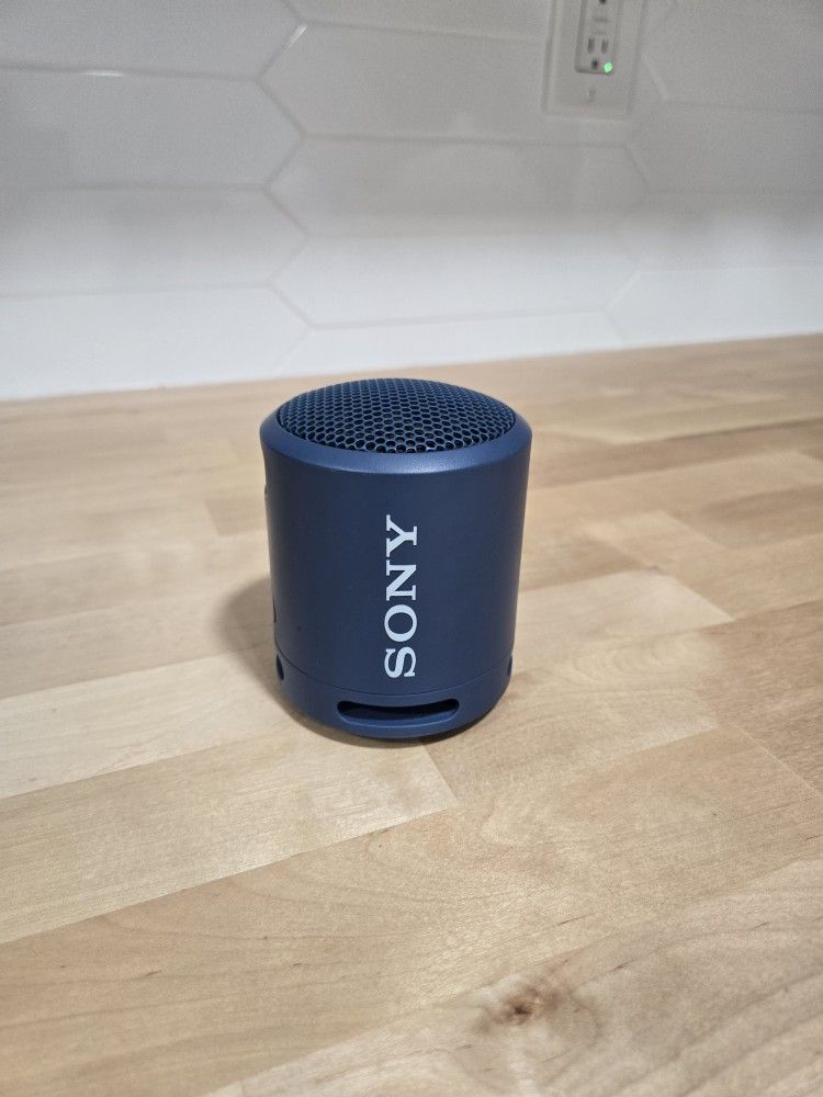 Sony Portable Bluetooth Speaker 