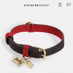 Coach Dog Collar