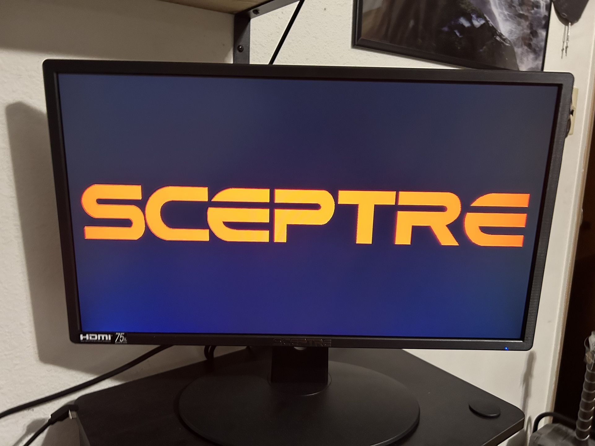 Sceptre 20” Monitor