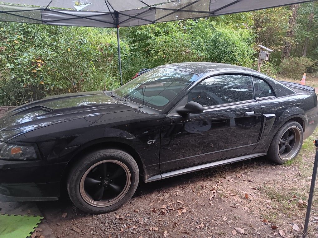 2003 Ford Mustang