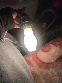 Light