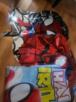 spidey and his amazing friends Backdrop and 2 balloons