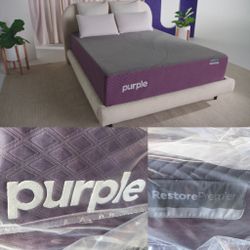 New Queen Purple Restore Premier 13.5” 