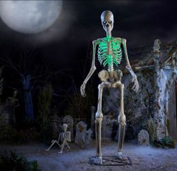 12 FT Home Depot Skelly Animated Giant Skeleton LifeEyes Halloween Decoration