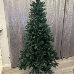 Beautiful Christmas Tree 🎄✨