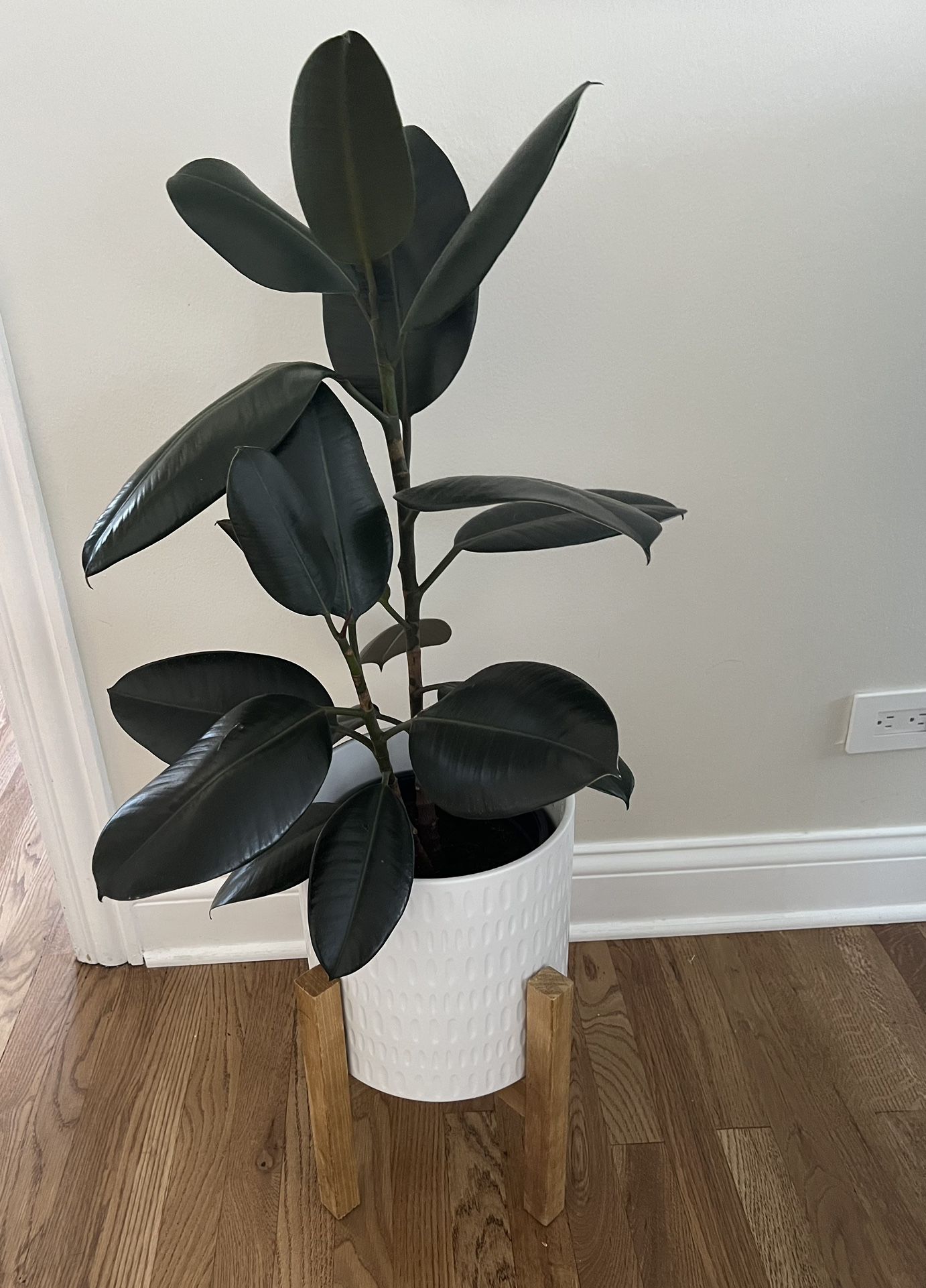 Plant Pot with Stand 