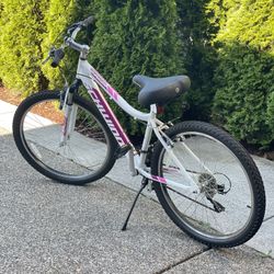Like New Womens Bike with new seat 
