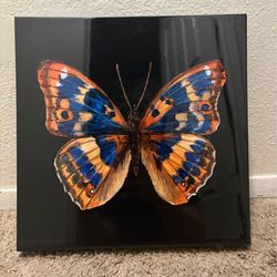 Butterfly Print artwork