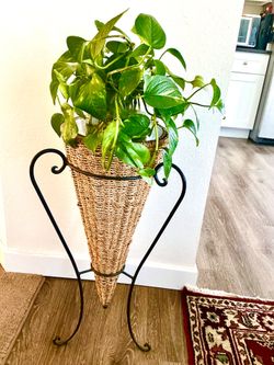 Wrought iron/ Rattan plant stand