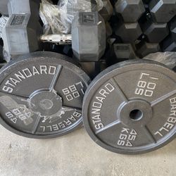 100lb Rogue Fitness Olympic Plate Pair 200lbs Total