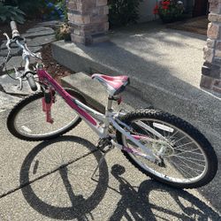 Trek 220 Mountain Bike