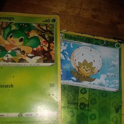 Pokemon cards