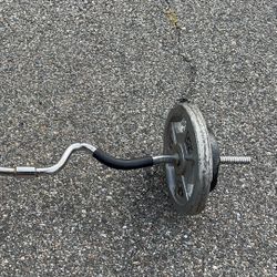 Ez Curl Bar 65lbs Adjustable 