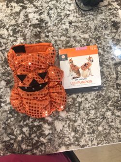 Pet costume Led Pumpkin