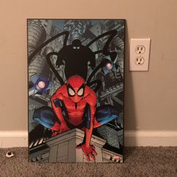 Spider Man Frame