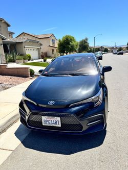 Toyota Corolla Sedan Dark Blue