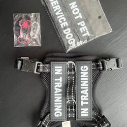 XS dog vest