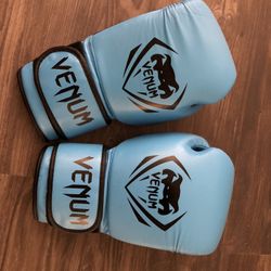 Venum Boxing Gloves 16oz