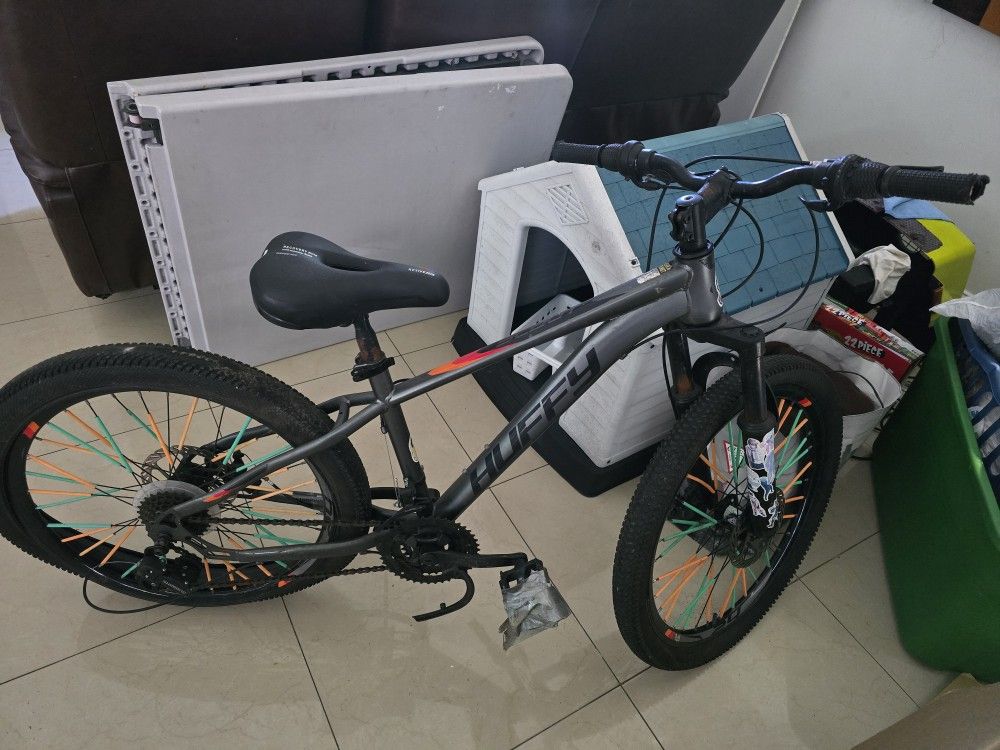 Scout Bike 24b