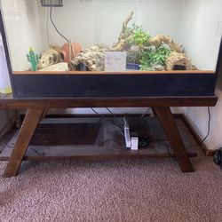 Large Reptile Enclosure 