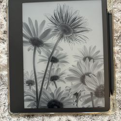 Kindle Scribe 64 Inch 
